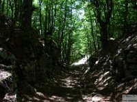 2026-06-20 Sopralluogo Trail Duchessa 106
